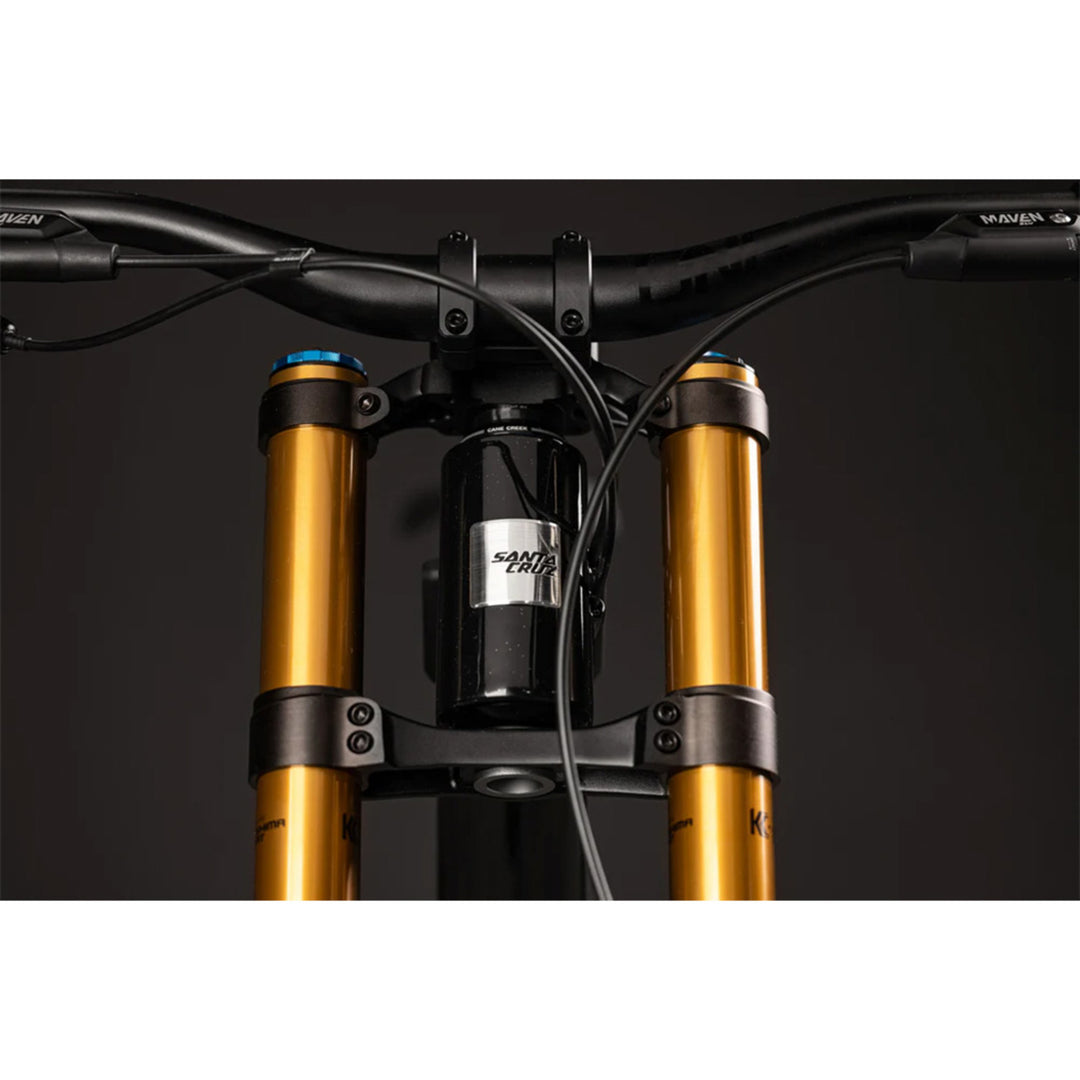 Santa Cruz V10 8 Carbon CC 29