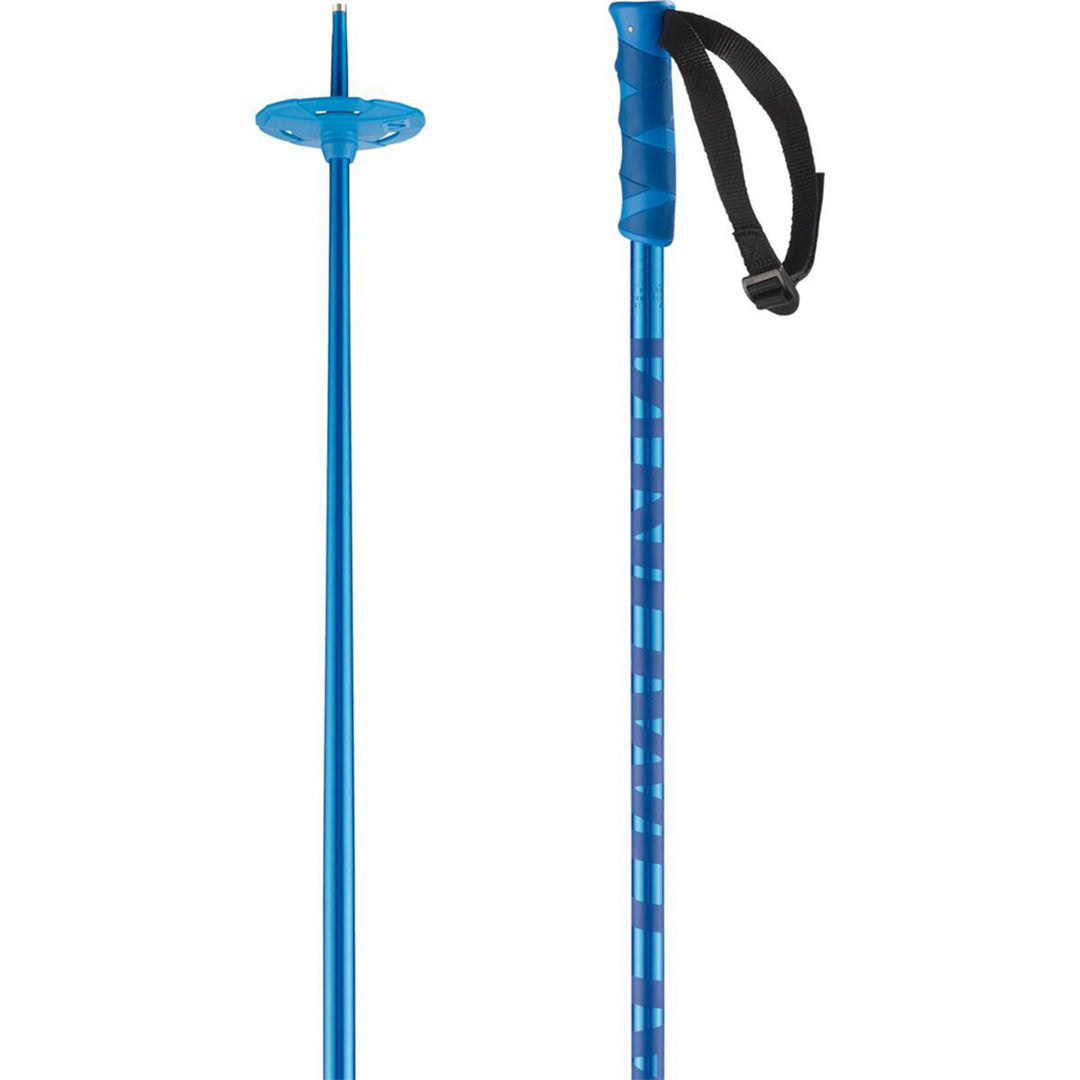 Salomon Hacker Downhill Ski Poles 2025 – Alpine East