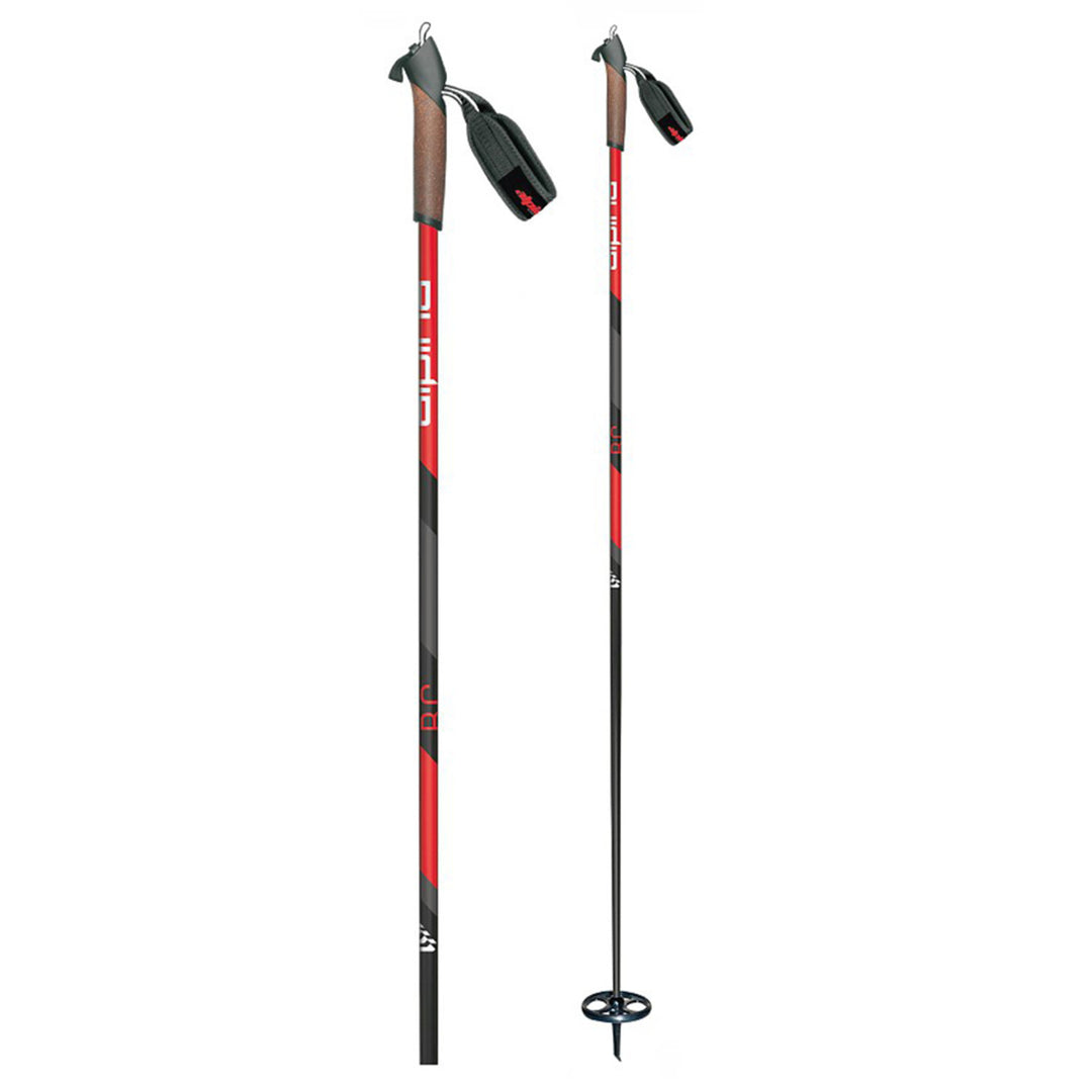cross country backcountry poles Alpina BC Cross Country Ski Poles 2022 – Alpine East
